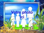 Modle de carte de voeux personnalisable, rfrence CDiver045