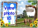 Modle de carte de voeux personnalisable de vacances, rfrence CEtezz040